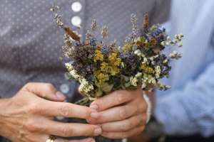 Hände halten einen kleinen bunten Trockenblumenstrauß mit Lavendel, gelben und weißen Wildblumen.