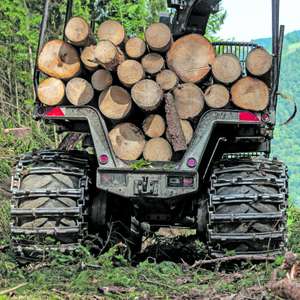 Forwarder, beladen mit Holzstämmen.