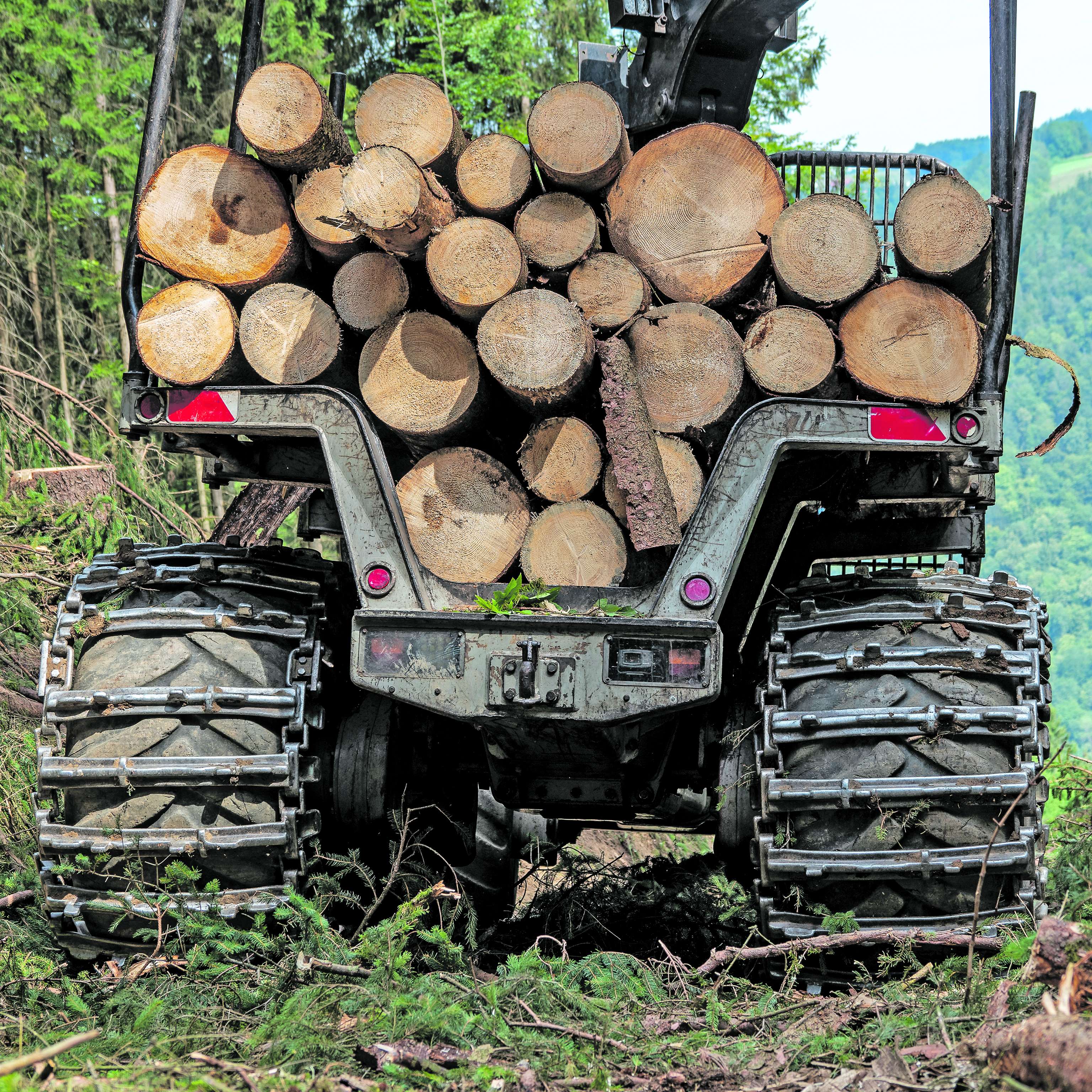 Forwarder, beladen mit Holzstämmen.