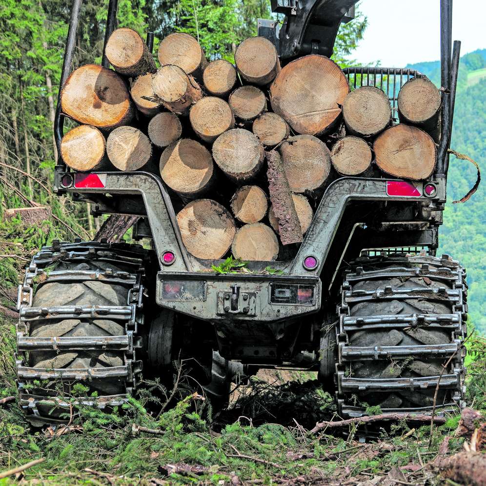 Forwarder, beladen mit Holzstämmen.