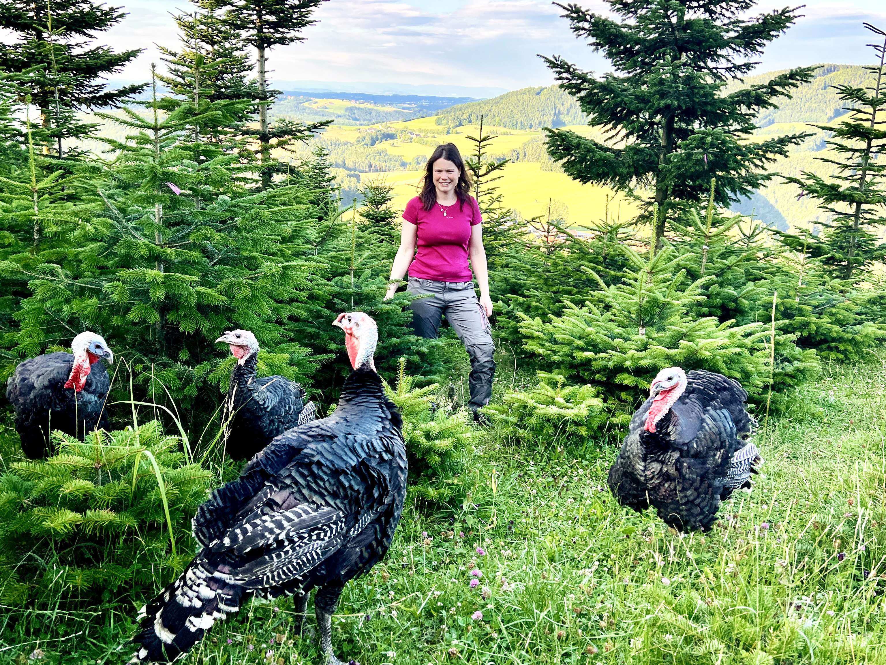 Puten der Familie Pieber