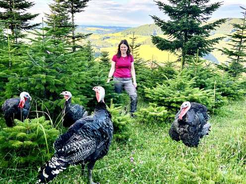 Puten der Familie Pieber