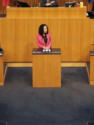 Person in pink blazer speaking at a podium in a wood-paneled room, with additional seating areas visible.
