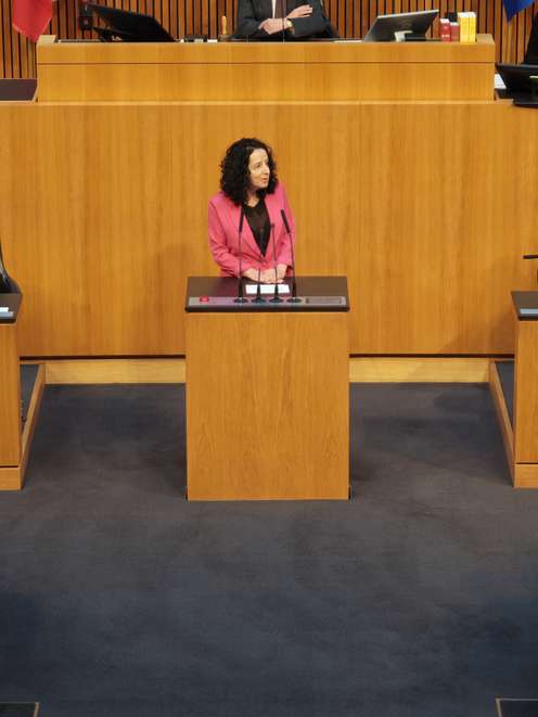Person in pink blazer speaking at a podium in a wood-paneled room, with additional seating areas visible.