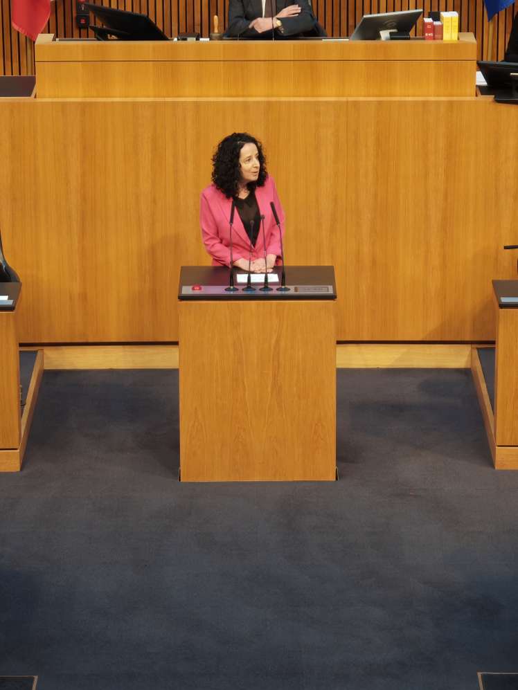 Person in pink blazer speaking at a podium in a wood-paneled room, with additional seating areas visible.