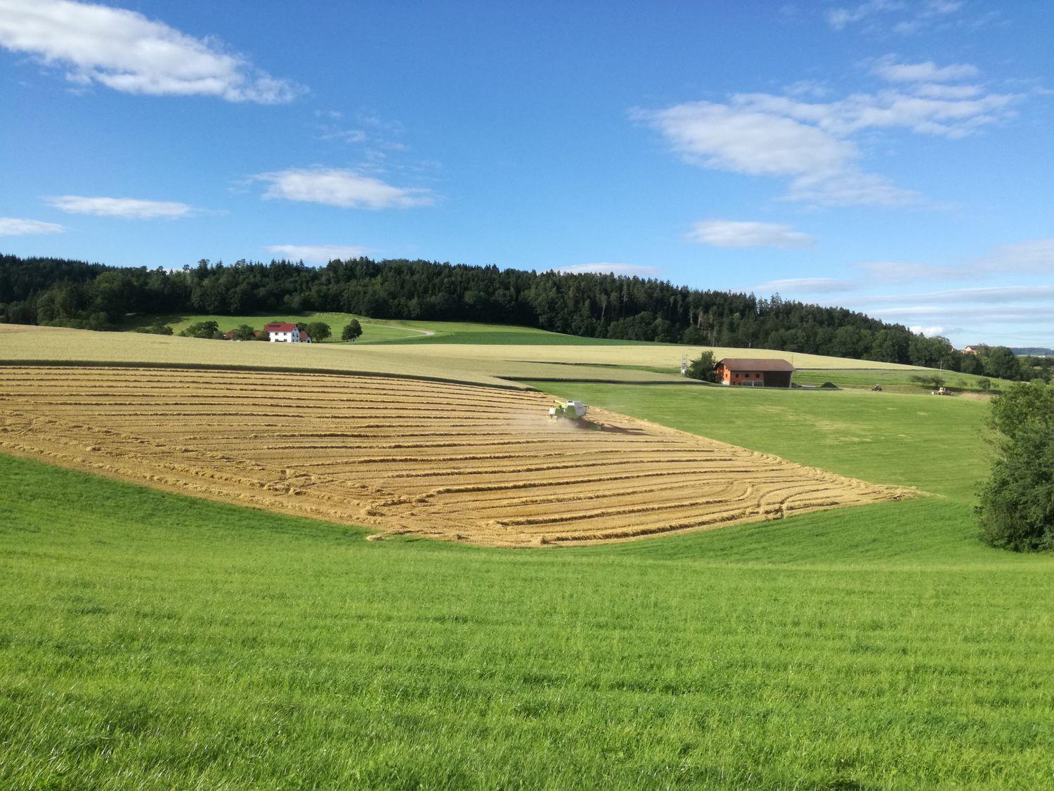 Die heurige Getreideernte ist in Oberösterreich, mit Ausnahme einiger Höhenlagen, so gut wie abgeschlossen.