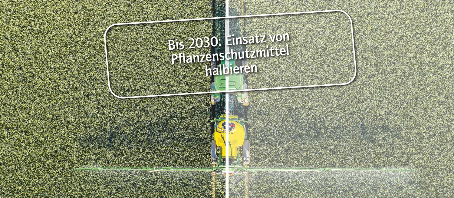 Pflanzenschutz
