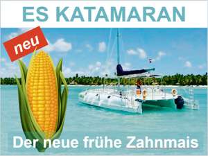 Der neue Zahnmais ES Katamaran ist eine vielversprechende Neuzüchtung von Probstdorfer.