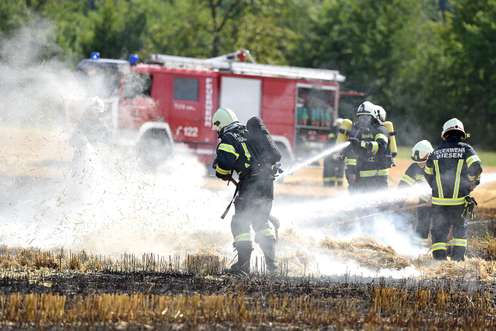 Feuerwehrleute löschen Brand am Acker.