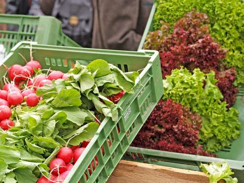 Frisches Gemüse auf einem Marktstand: Radieschen und grüner Salat in grünen Kunststoffkisten, im Hintergrund eine Person.