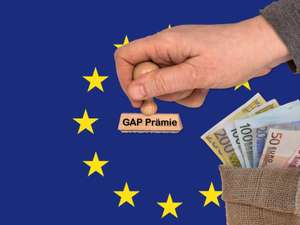 GAP_Praemie_und_EU_Flagge