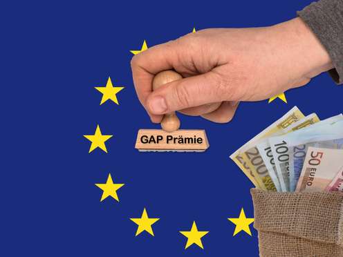 GAP_Praemie_und_EU_Flagge