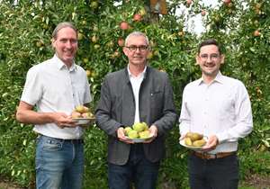 Birne erlebt eine Renaissance: Roithmeier, Waldenberger und Hoffelner