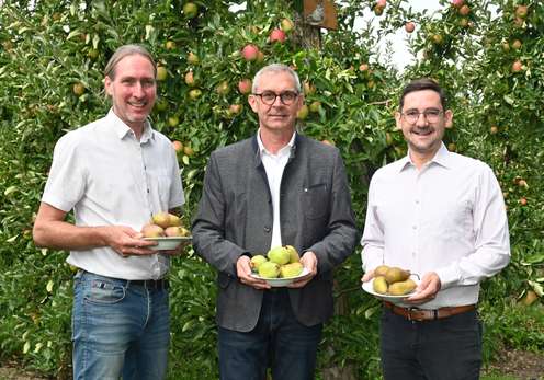 Birne erlebt eine Renaissance: Roithmeier, Waldenberger und Hoffelner