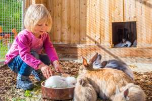 Kind im Hasenstall