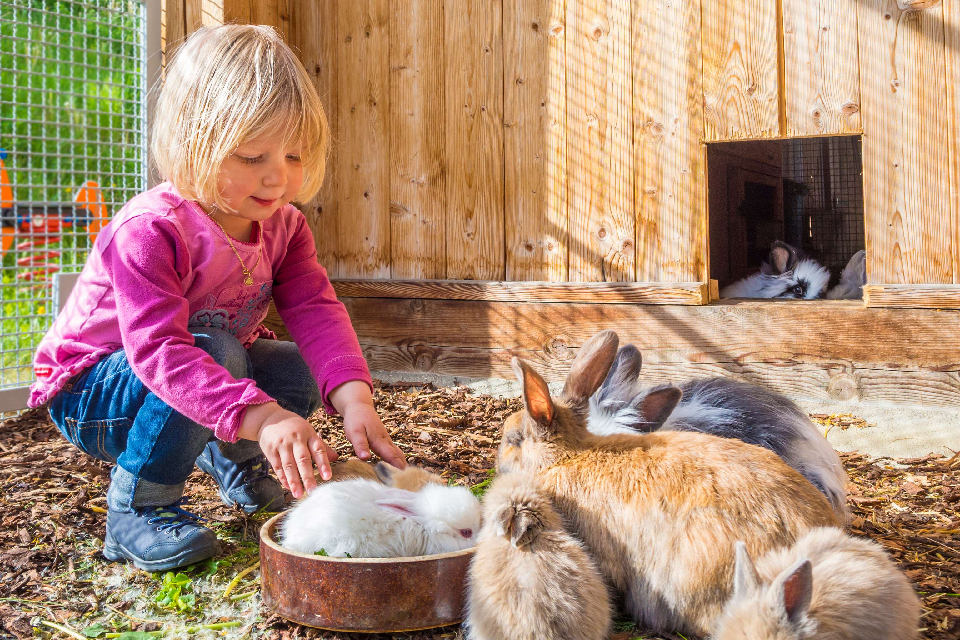 Kind im Hasenstall