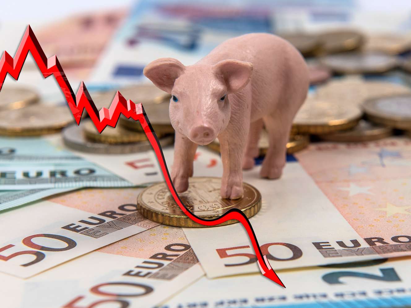 Schwein auf Geldschein