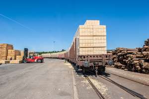Holztransport auf Schienen