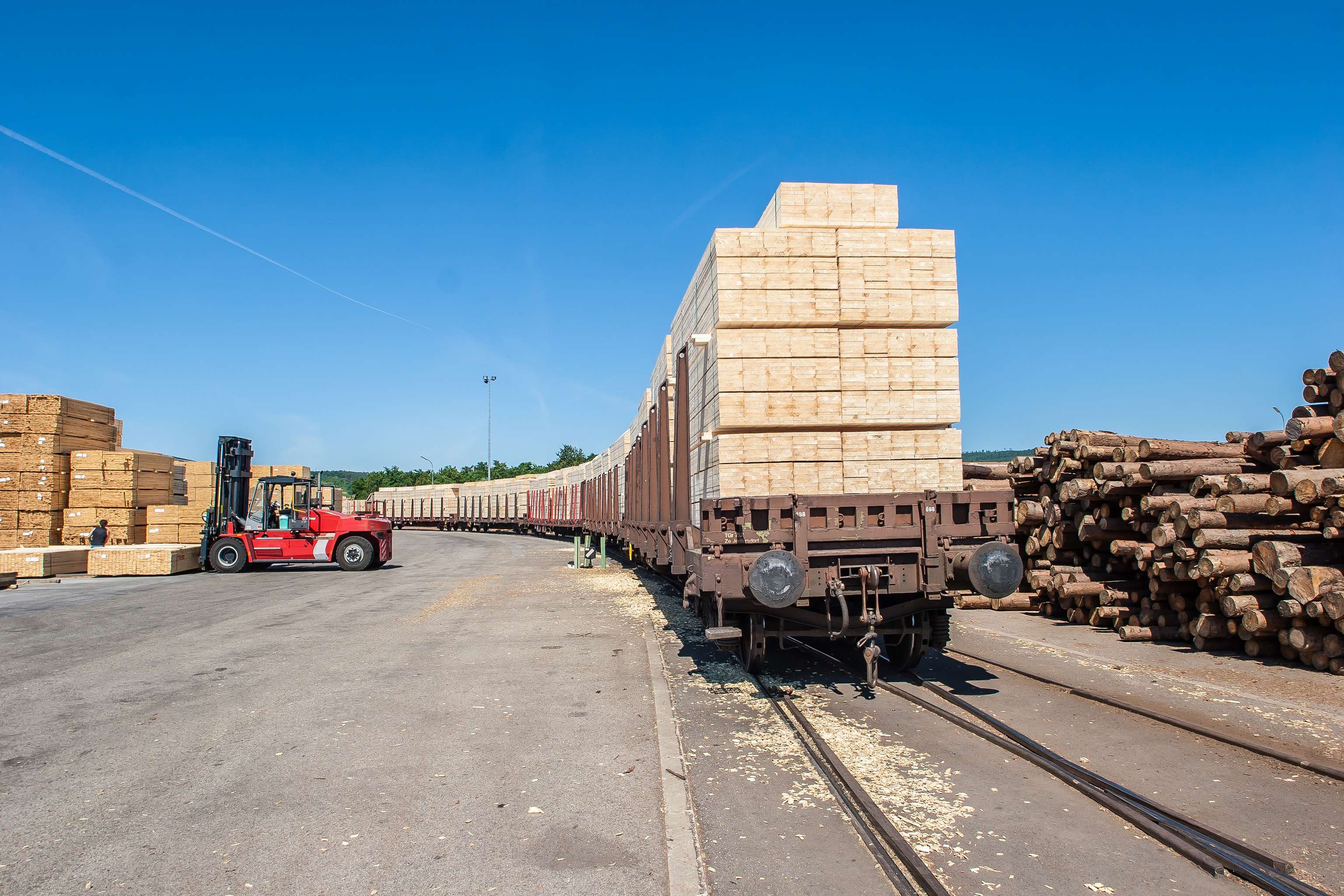 Holztransport auf Schienen