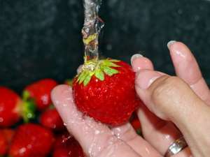 Erdbeeren Abwaschen