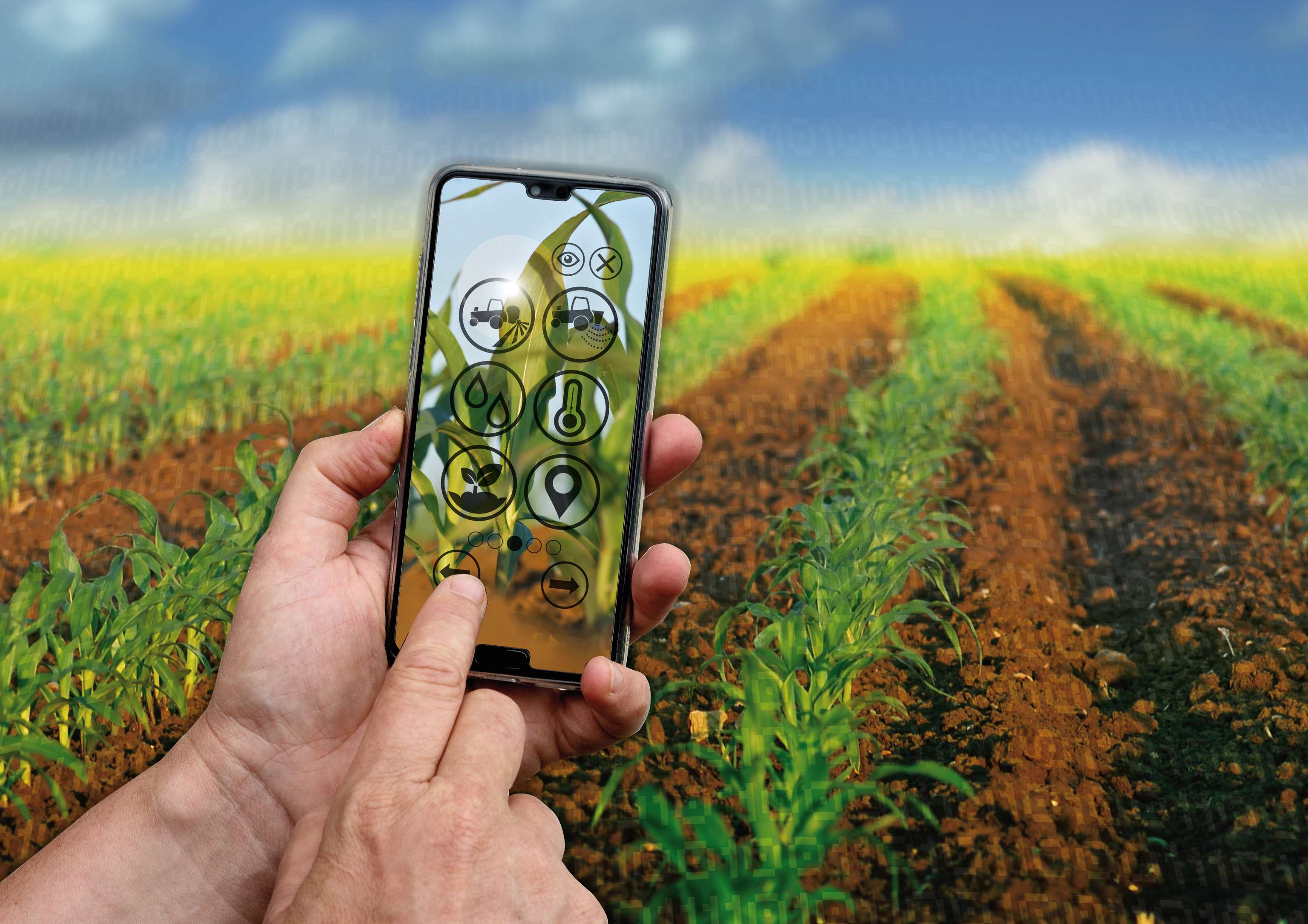 Smart Farming