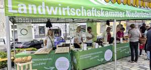 Wochenmarkt Gmünd