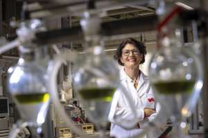 Marlene Kienberger vom Institut für Chemische Verfahrenstechnik und Umwelttechnik der TU Graz leitet das Projekt ToFuel.