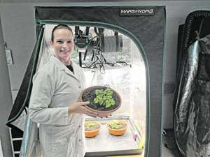 Forscherin im Labor mit Pflanzen