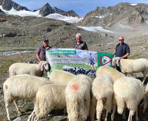 Wolf Gahr Auernhammer Bacher