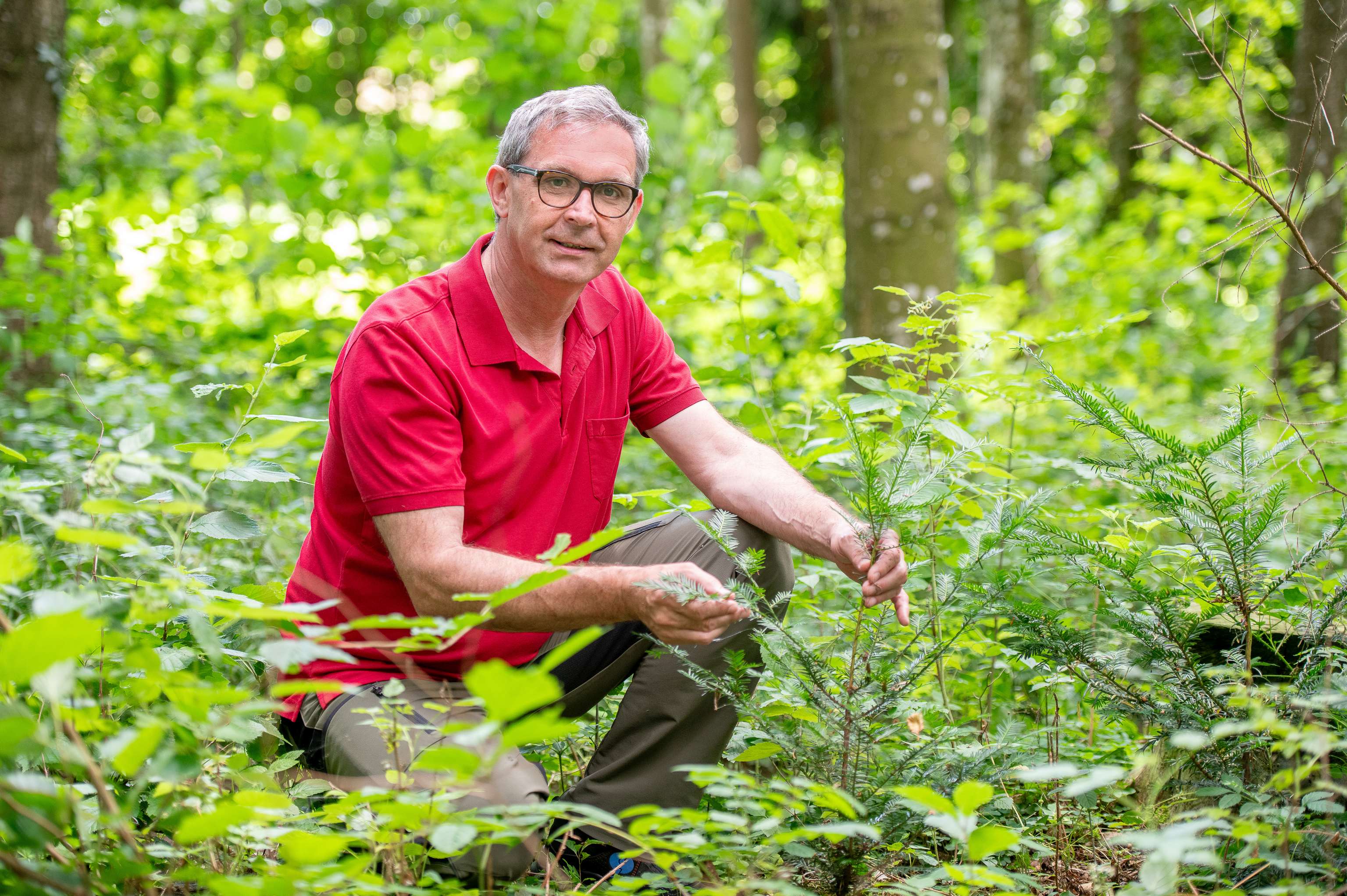 LK OÖ-Präsident Franz Waldenberger im Wald.