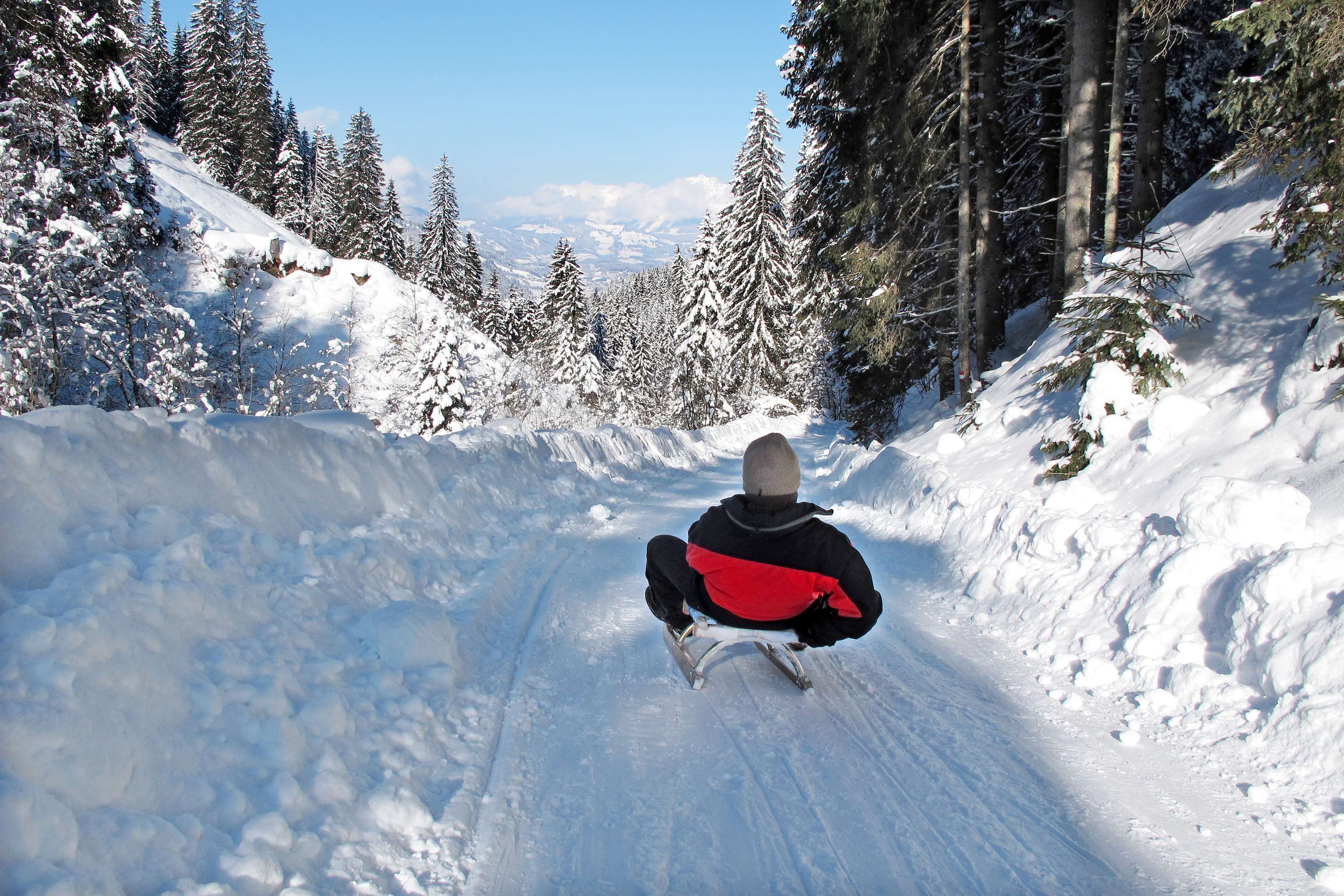 Rodeln Wintersport