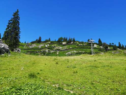 Lawinenverbauung in den Alpen