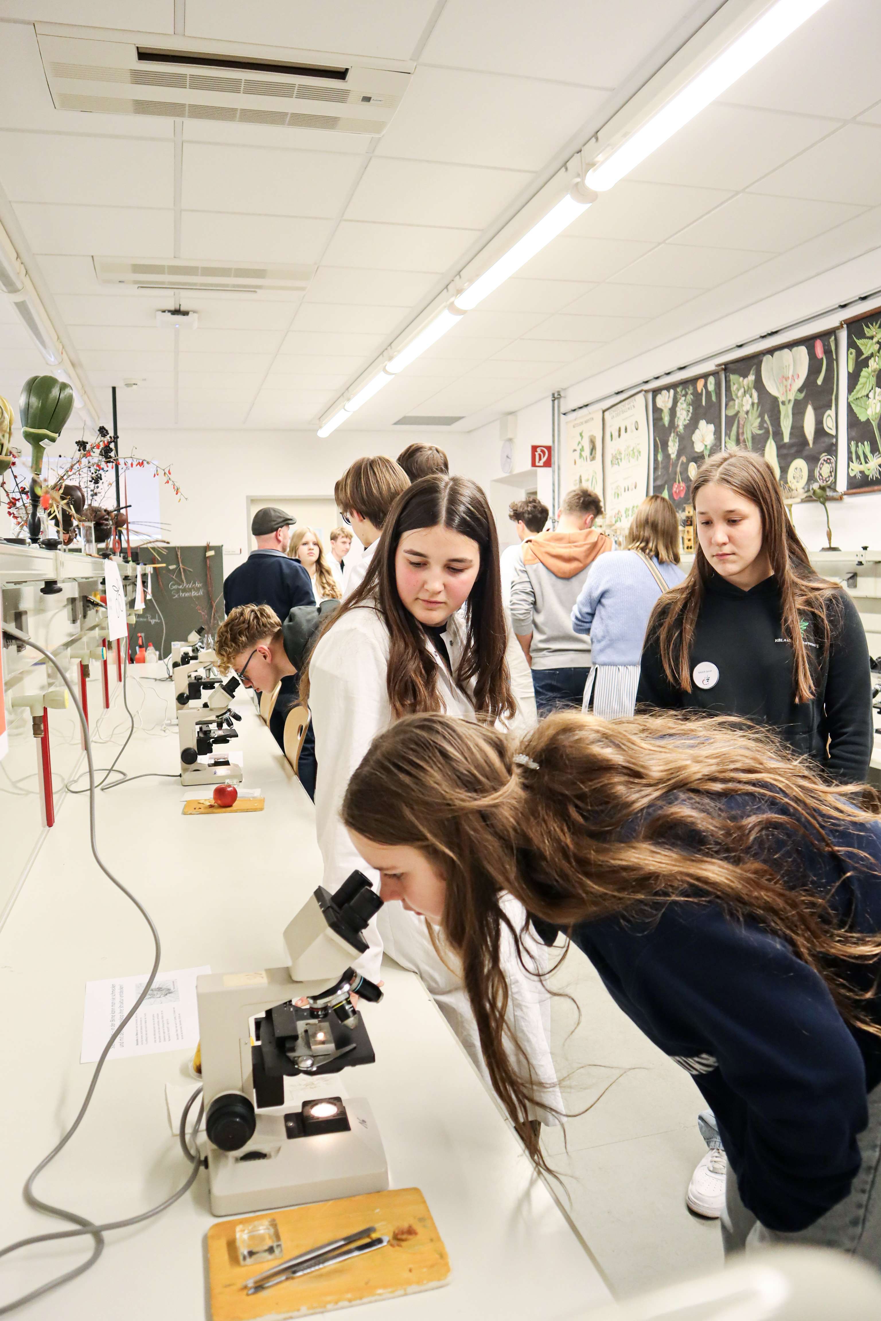 Kind schaut durch Mikroskop