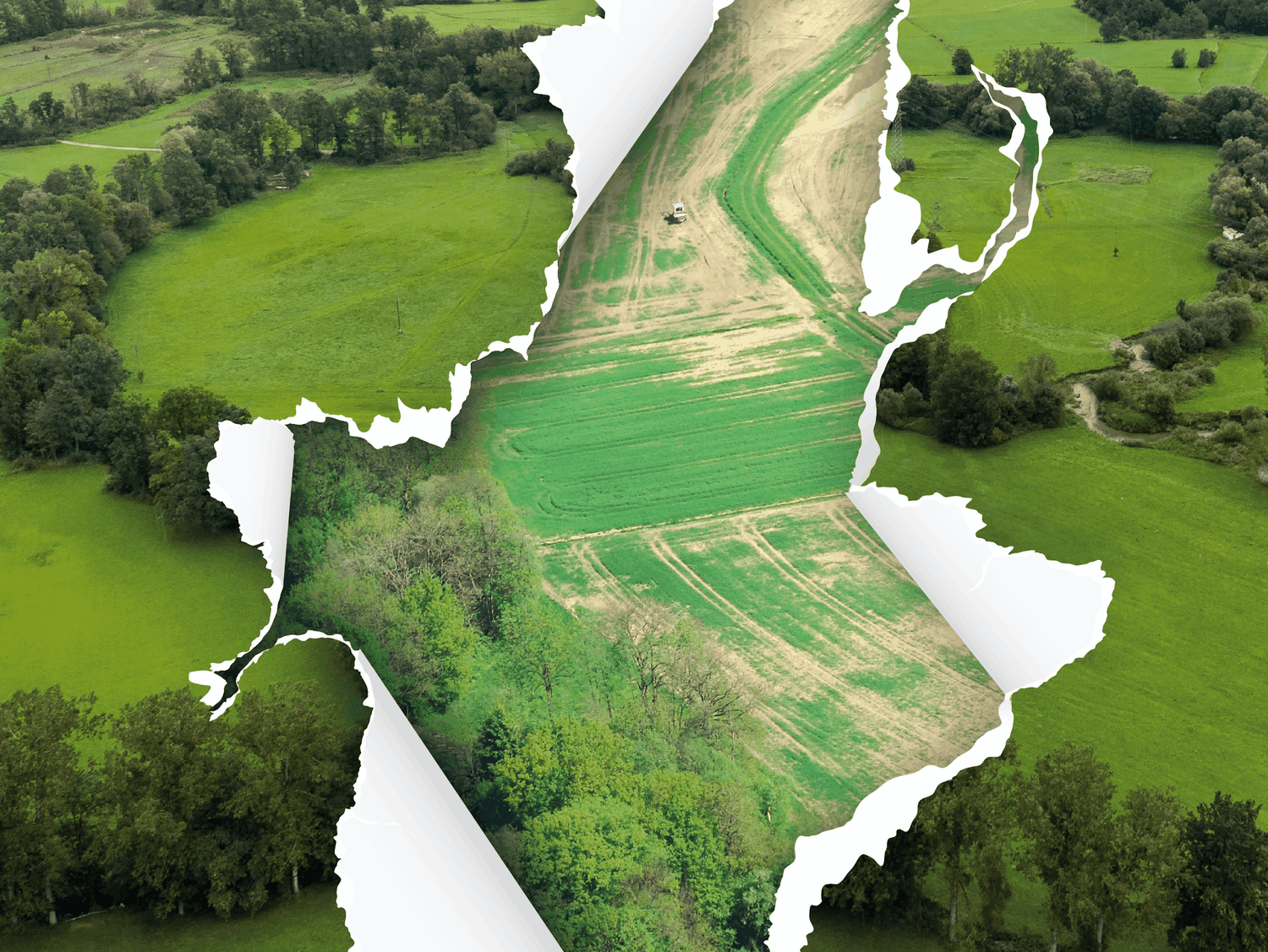 50 % der Ackerbiodiversitätsflächen bei „Umweltgerechter und biodiversitätsfördernder Bewirtschaftung“ können flexibel genutzt werden. FOTO: agrarfoto.com