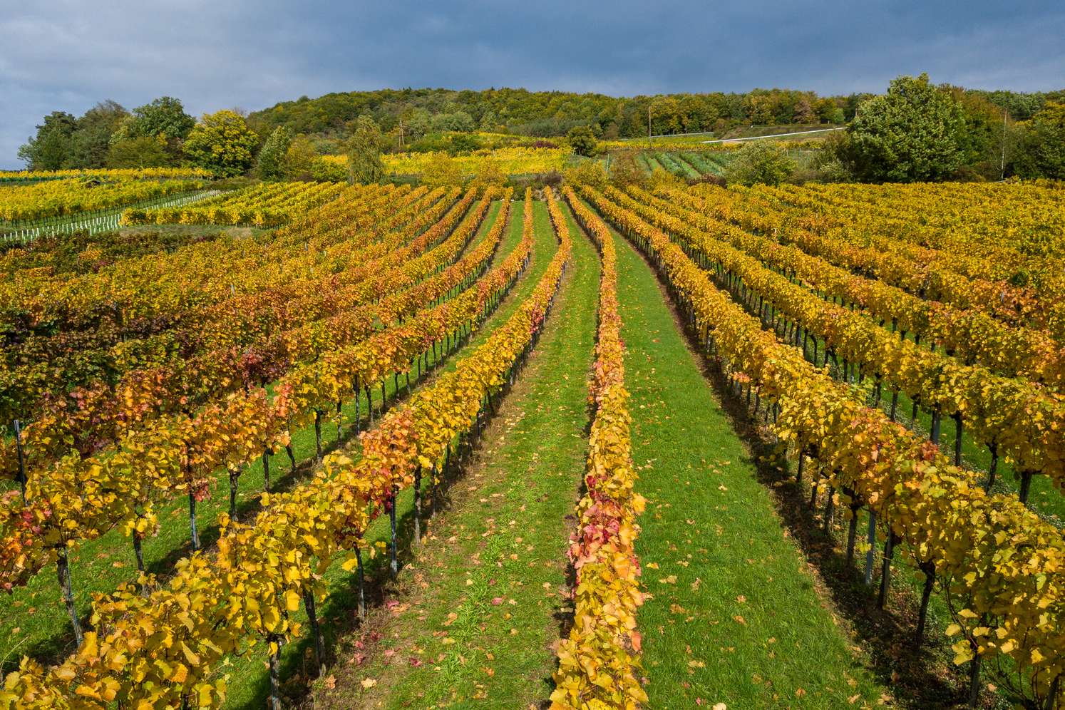 Wachau