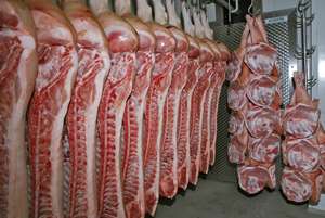 Schweinehälften aufgehängt