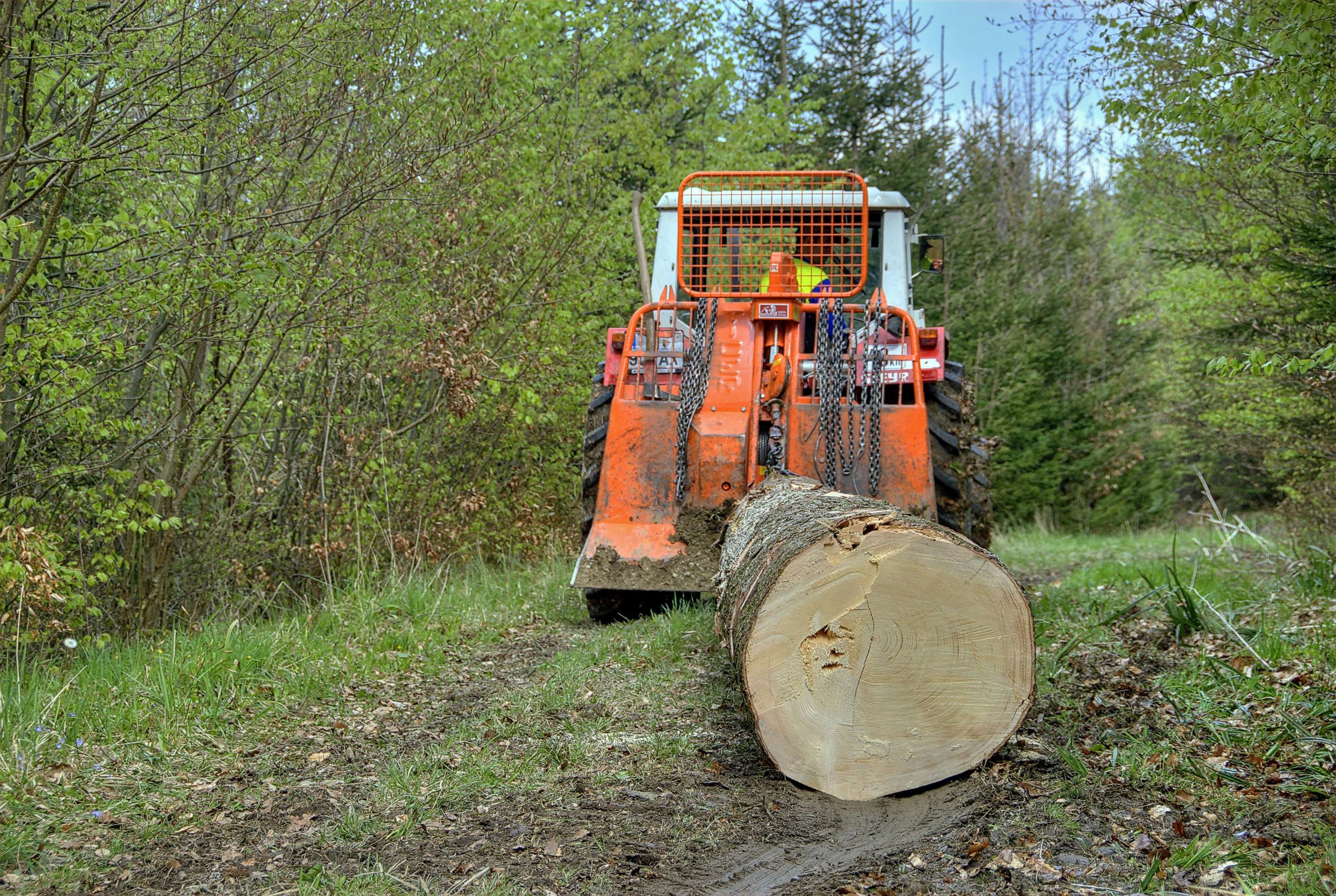 Holzbringung
