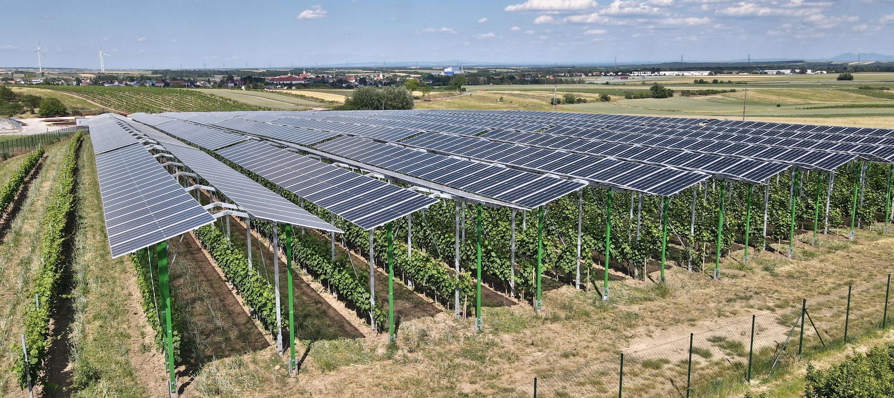 PV und Weinreben