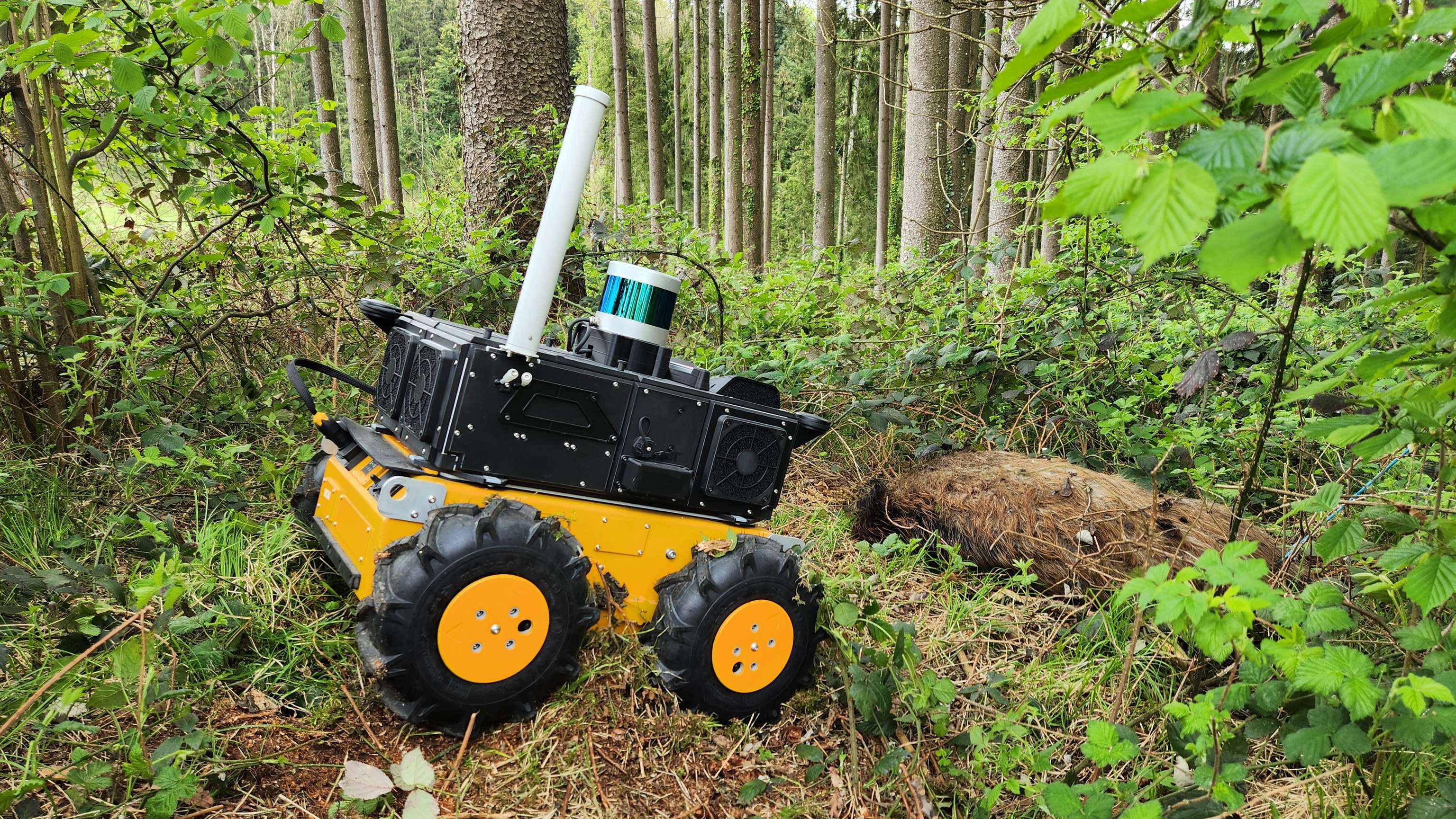 Digitale Nase auf einem Roboter im Einsatz im Wald.
