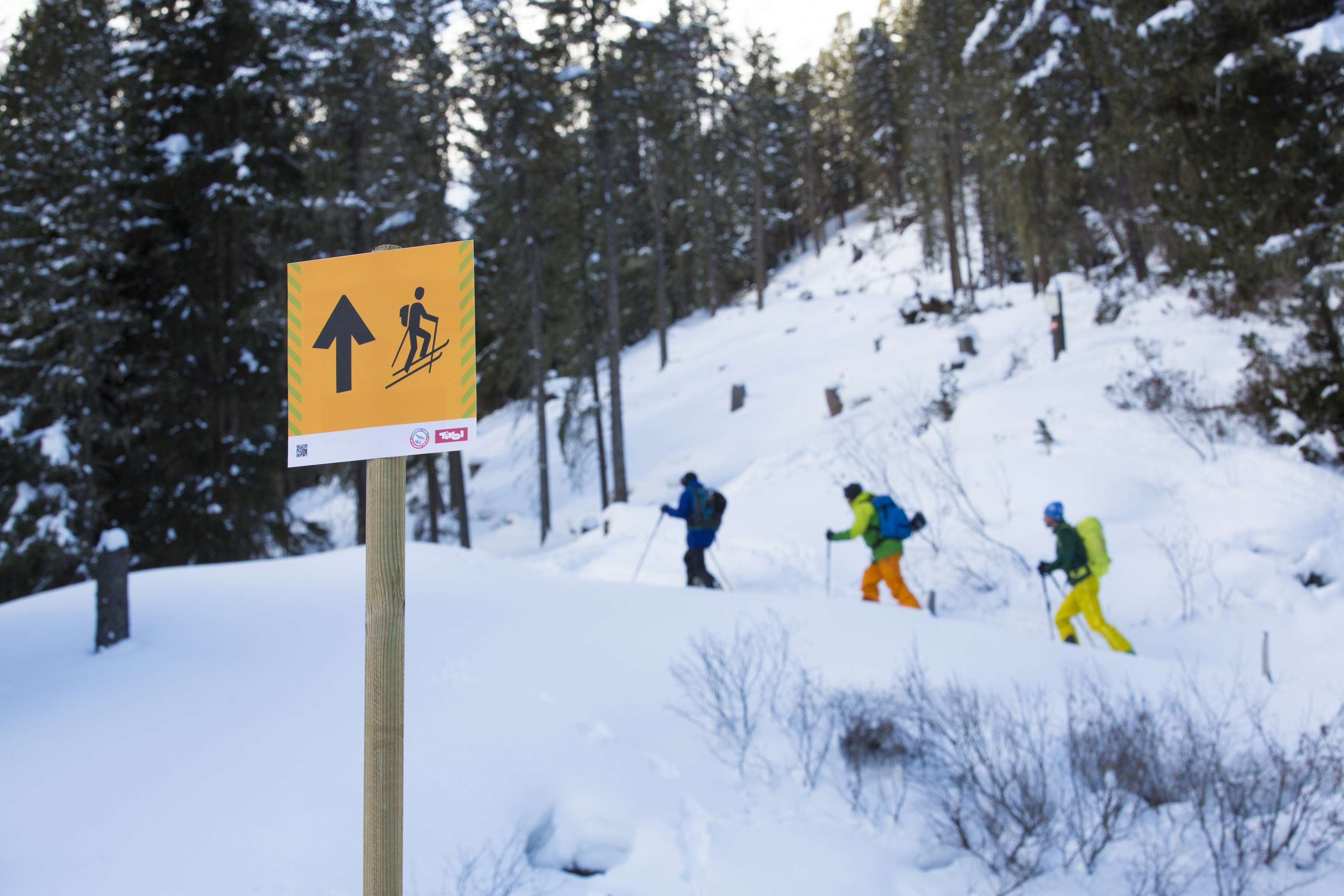 Skitourenlenkung