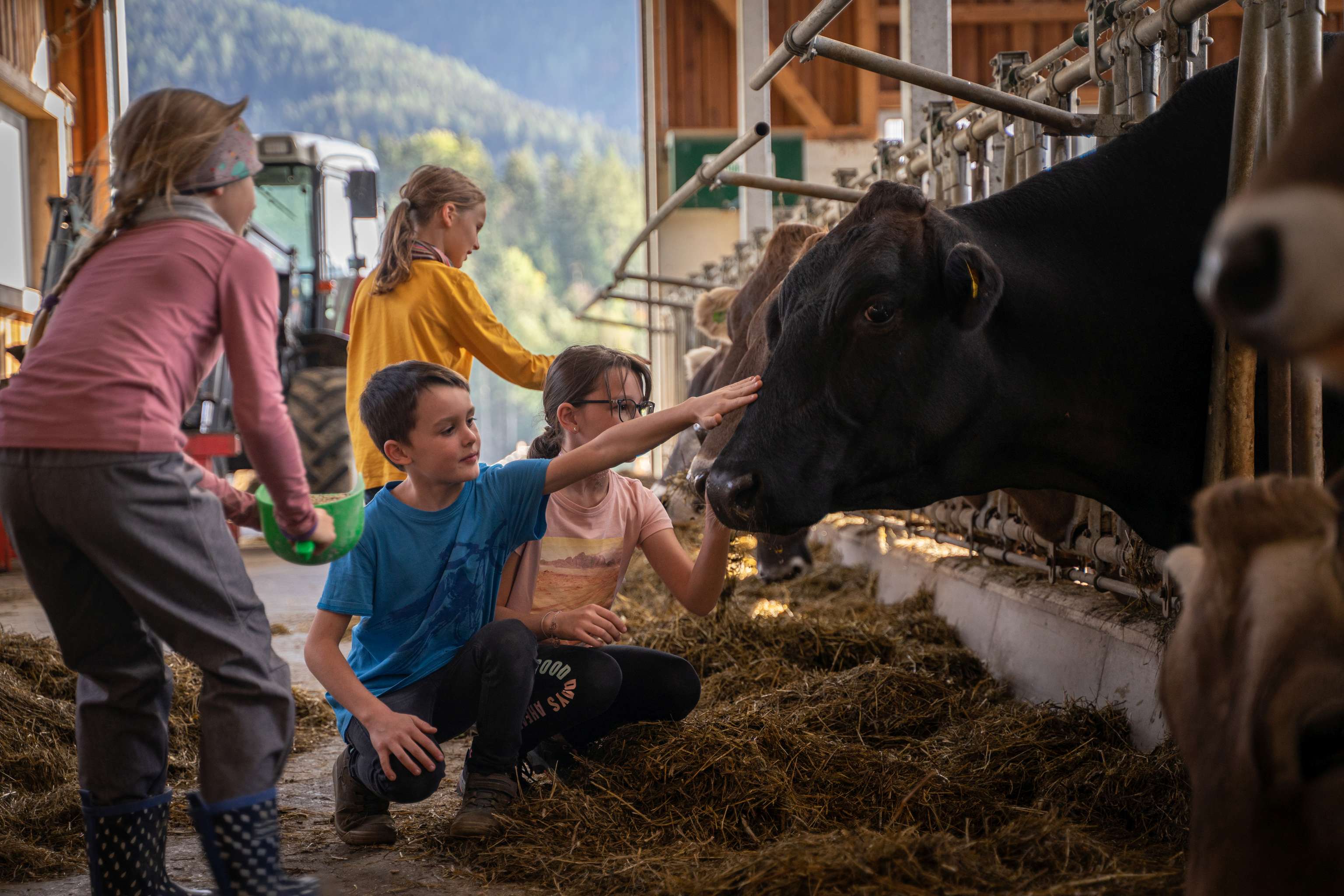 Kinder streicheln Kühe im Stall.