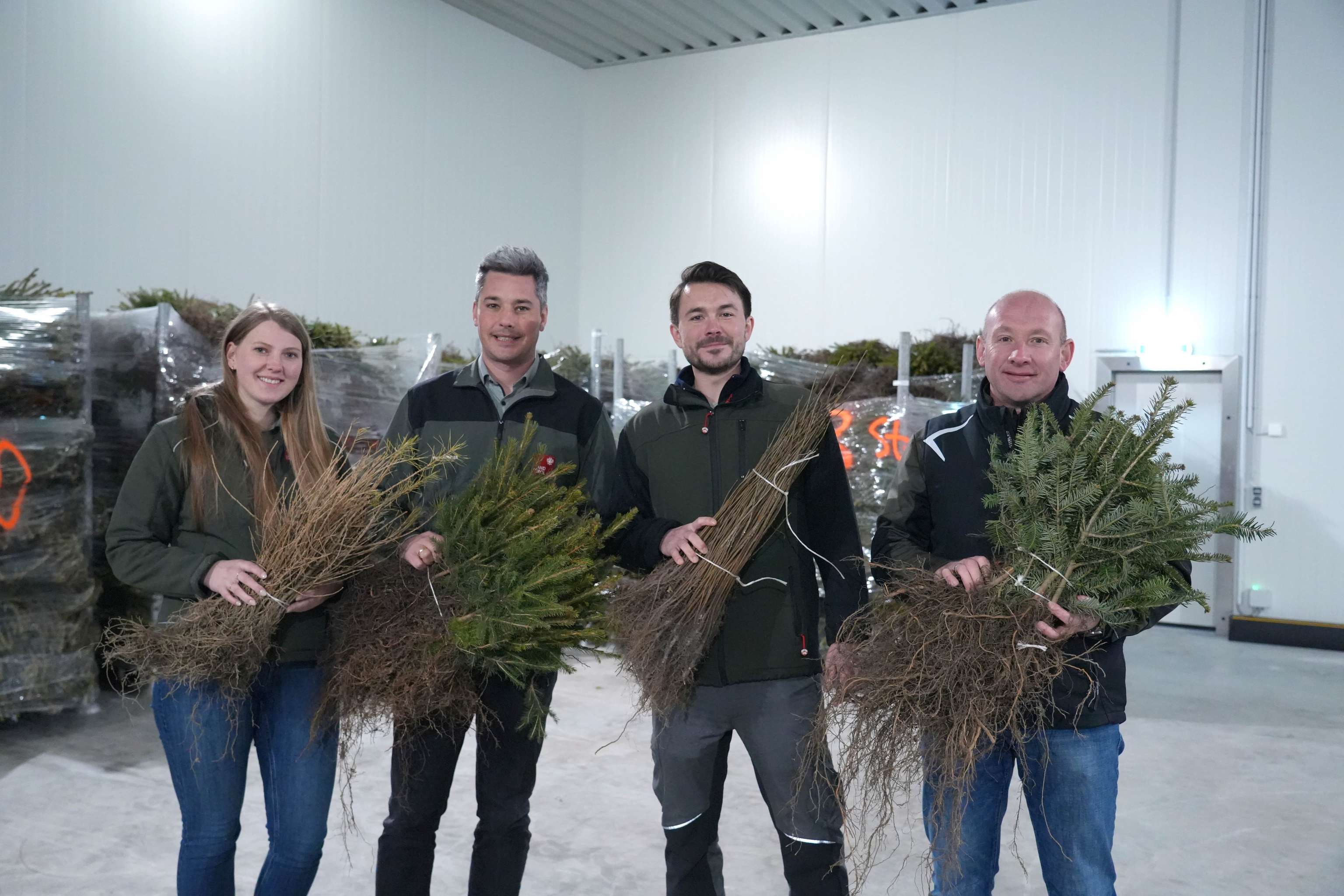 Vier Personen halten Bündel von Pflanzen in einer Lagerhalle. Im Hintergrund sind Paletten mit weiteren Pflanzenstapeln zu sehen.