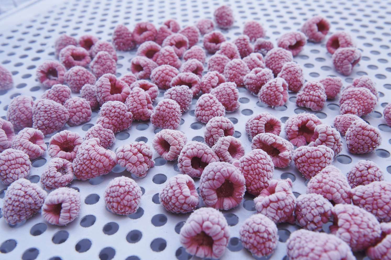 Gefrorene Himbeeren