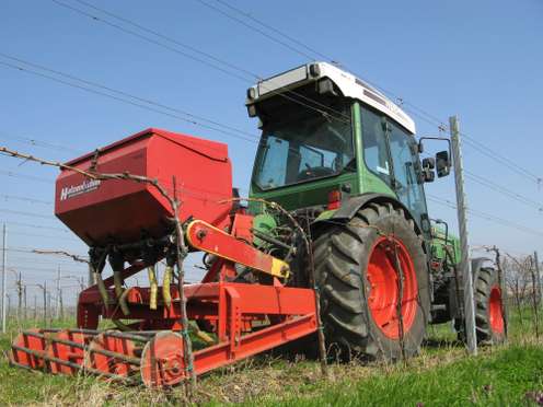 Traktor im Weingarten