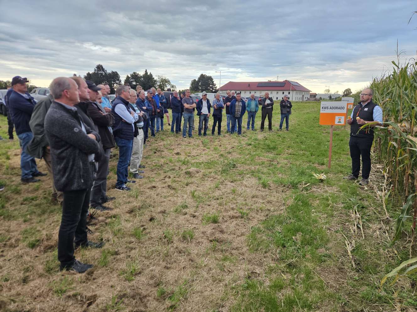 Landwirte begutachten einen Mais-Versuch