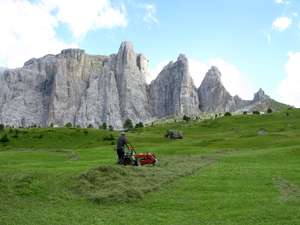 Bergbauer in Südtirol