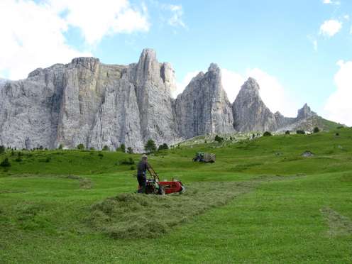 Bergbauer in Südtirol