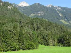 Bergwald