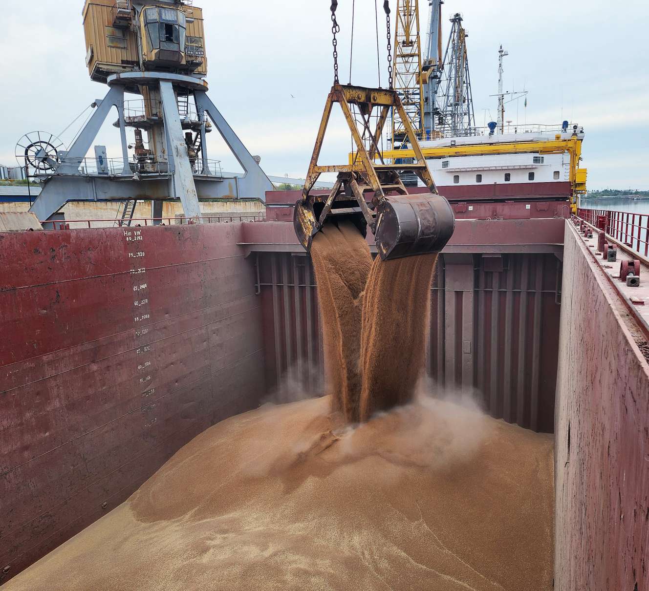 Loading of wheat in bulk into the ship's cargo hold by steel grab