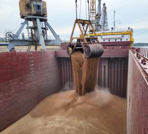 Loading of wheat in bulk into the ship's cargo hold by steel grab